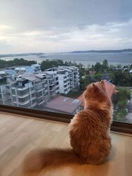 Ripple Bay (D18), Condominium #473821361